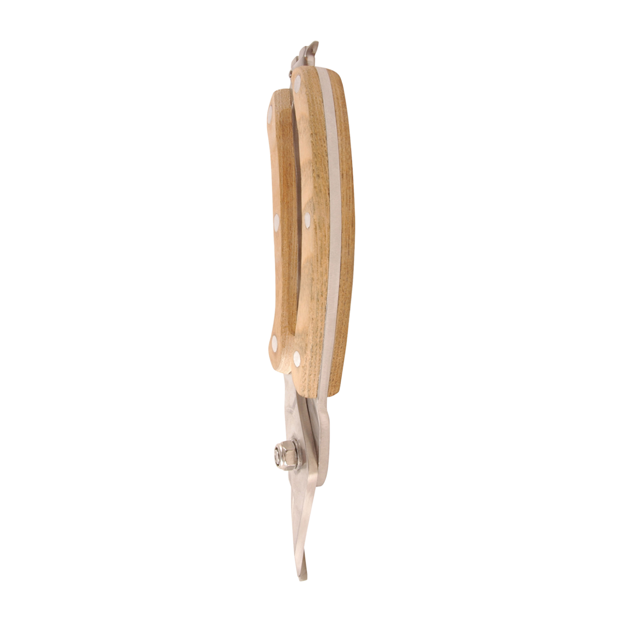 GT13_06