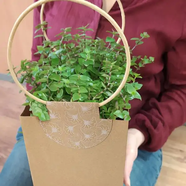 SacCA-Evidence-Compo4-1200_1