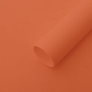 Autumn Orange