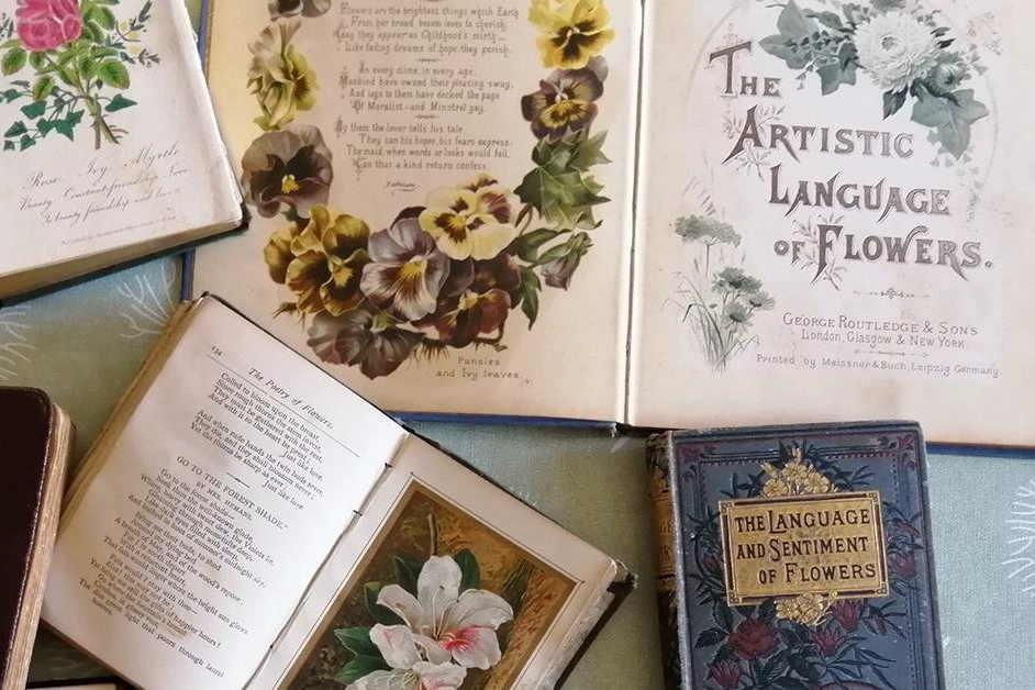Zabytkowe książki o mowie kwiatów z XIX wieku, otwarte na stronach z ilustracjami roślin i opisami ich symboliki.