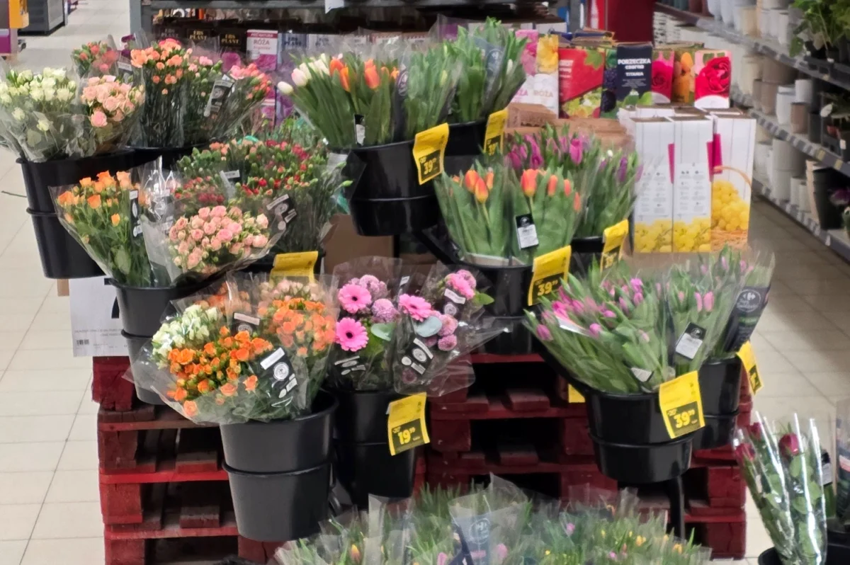 ekspozycja kwiatów w markecie monobukiety tulipany róże niskie ceny